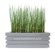 COMBO JARDINERA 100 X 45 CM CON EQUISETUM - Tumatera.co