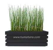 COMBO JARDINERA 100 X 45 CM CON EQUISETUM - Tumatera.co