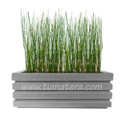 COMBO JARDINERA 100 X 45 CM CON EQUISETUM - Tumatera.co