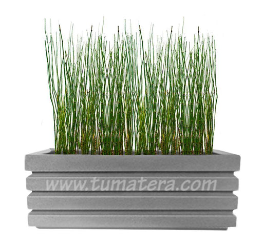 COMBO JARDINERA 100 X 45 CM CON EQUISETUM - Tumatera.co