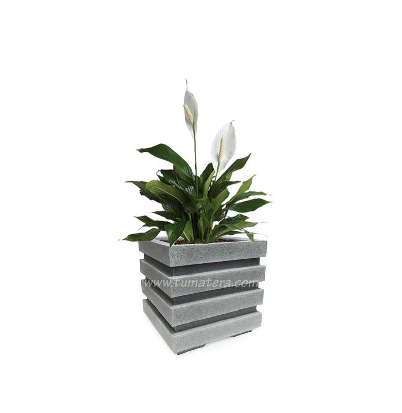 COMBO CUBO 48 CM CON ESPATIFILO - Tumatera.co