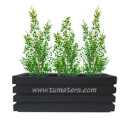 COMBO JARDINERA 100 X 45 CM CON EUGENIAS - Tumatera.co