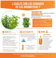 COMBO MATERA  COUBI HERBAL 38 CM CON AROMATICAS- Tumatera.co