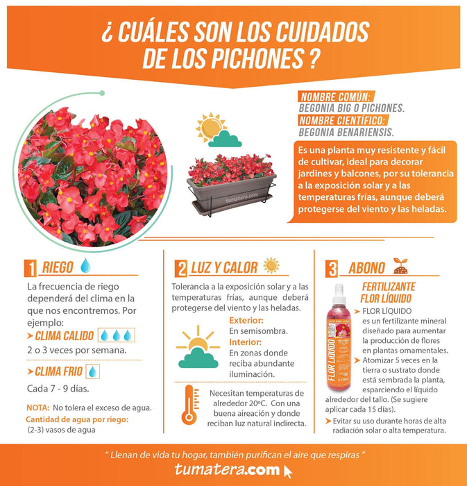 COMBO VENEZA BALCÓN 50 CM CON FLORES - Tumatera.co