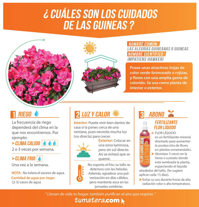 COMBO VENEZA BALCÓN 50 CM CON FLORES - Tumatera.co