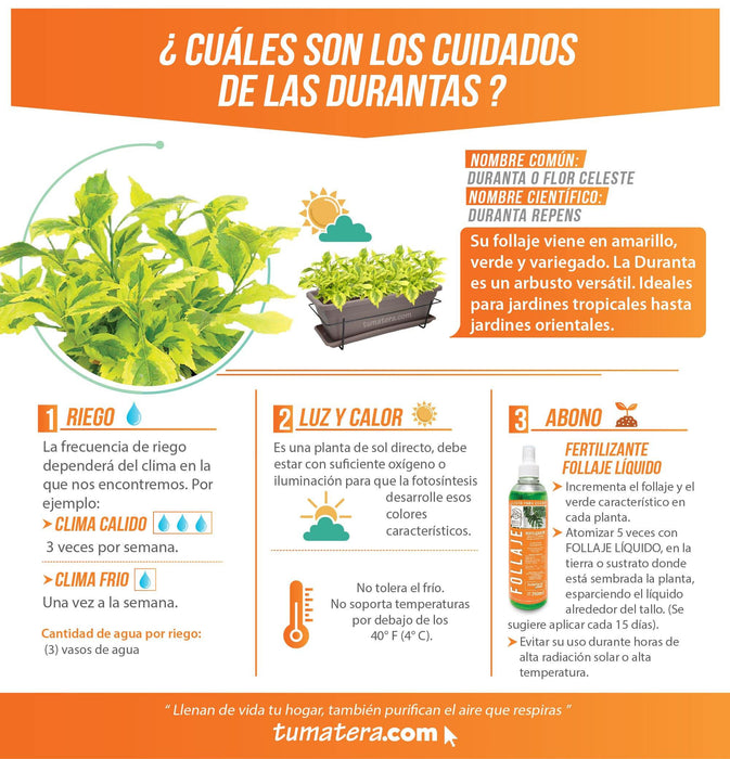 COMBO VENEZA BALCÓN 50 CM CON DURANTAS - Tumatera.co