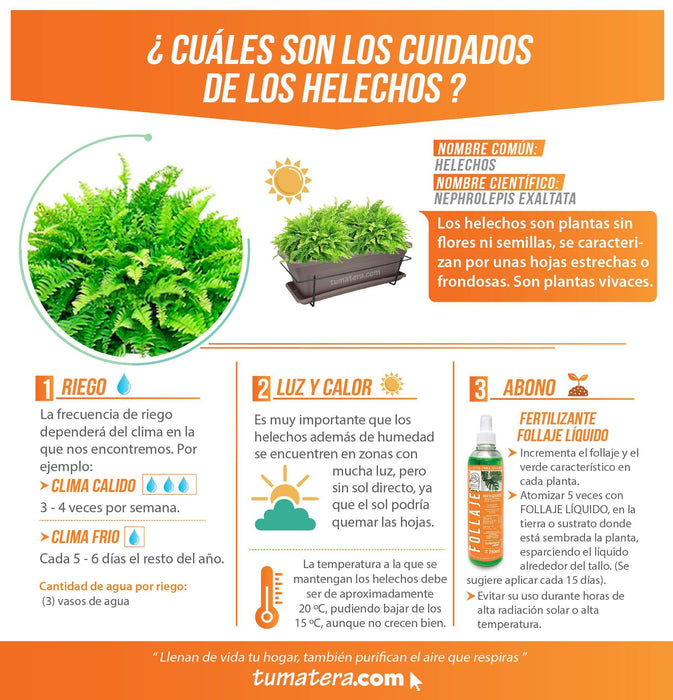 COMBO VENEZA BALCÓN 50 CM CON HELECHOS - Tumatera.co