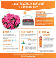 COMBO JARDINERA CEMENTO 90 CM CON FLORES - Tumatera.co