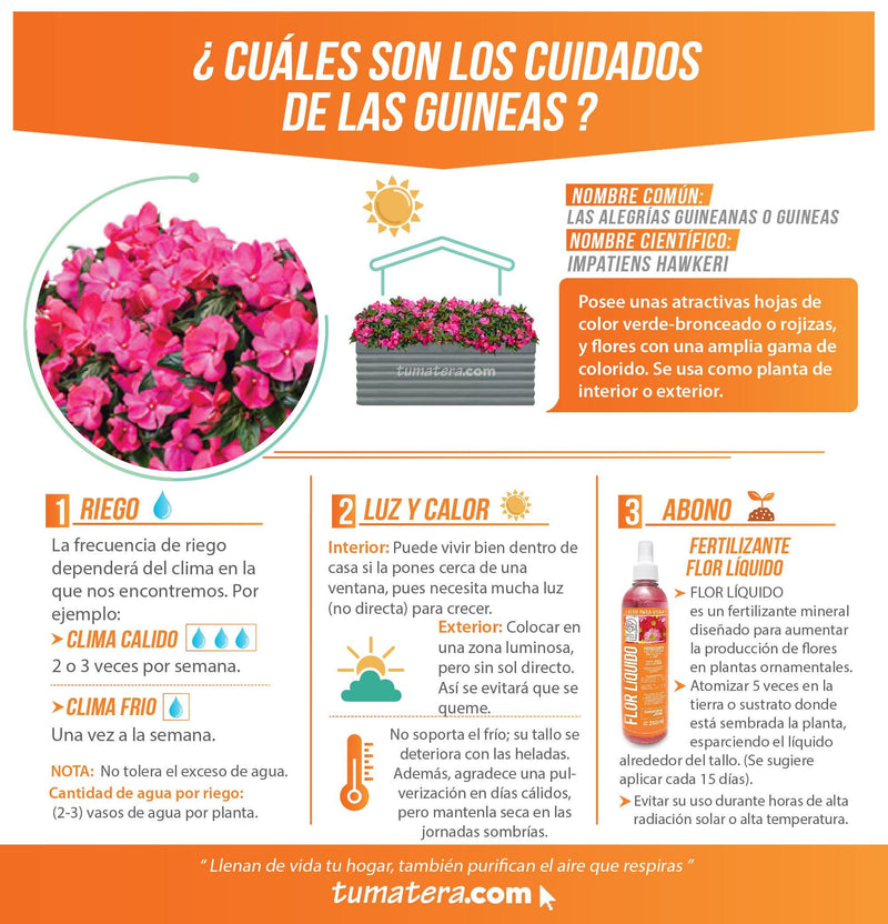 COMBO JARDINERA CEMENTO 90 CM CON FLORES - Tumatera.co