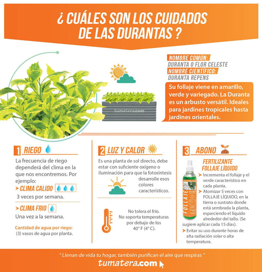 COMBO JARDINERA CEMENTO 90 CM CON DURANTAS - Tumatera.co