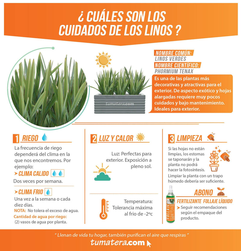 COMBO JARDINERA CEMENTO 90 CM CON LINOS - Tumatera.co