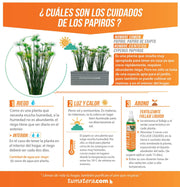 COMBO JARDINERA CEMENTO 90 CM CON PAPIROS - Tumatera.co