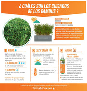 COMBO JARDINERA CEMENTO 90 CM CON BAMBUS - Tumatera.co