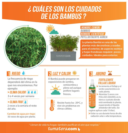 COMBO JARDINERA CEMENTO 90 CM CON BAMBUS - Tumatera.co