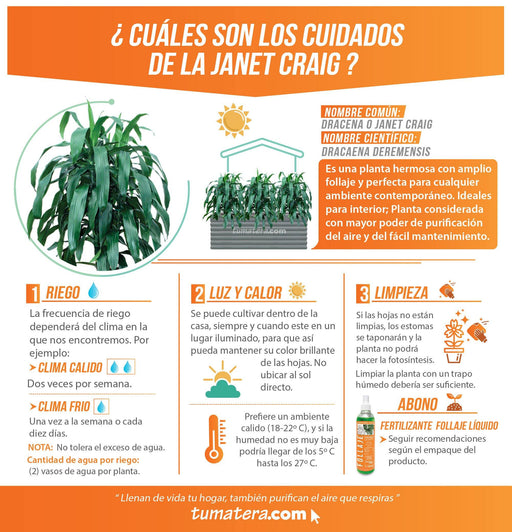 COMBO JARDINERA CEMENTO 90 CM CON JANET CRAIG - Tumatera.co