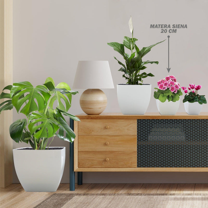 MATERA SIENA 20 CM - Tumatera.co