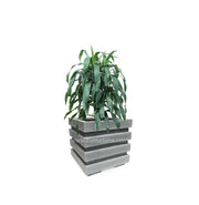 COMBO CUBO 48 CM CON JANET CRAIG - Tumatera.co
