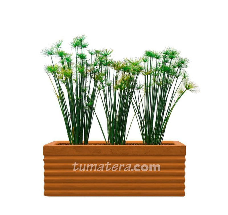 COMBO JARDINERA CEMENTO 90 CM CON PAPIROS - Tumatera.co