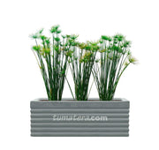 COMBO JARDINERA CEMENTO 90 CM CON PAPIROS - Tumatera.co