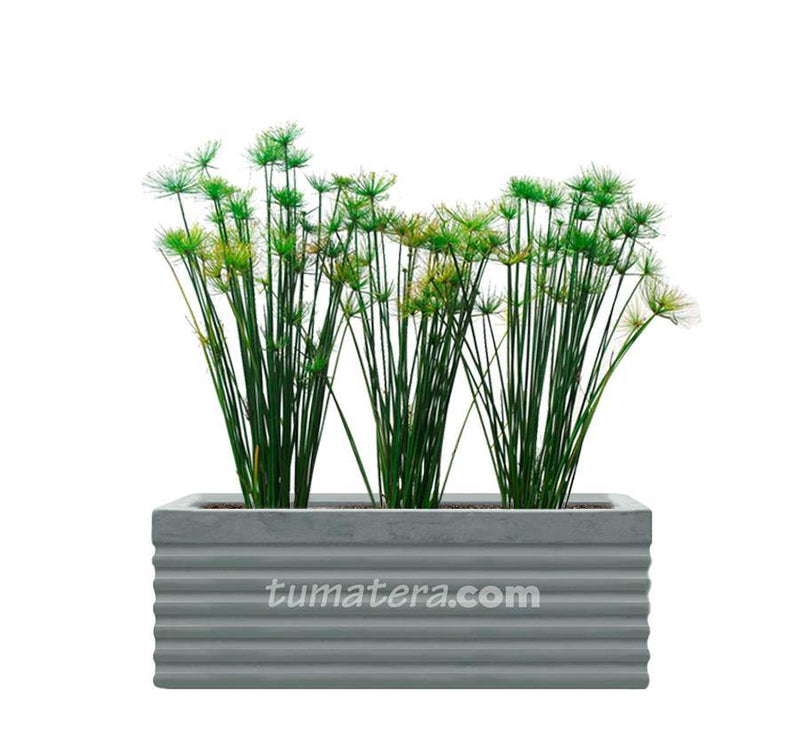 COMBO JARDINERA CEMENTO 90 CM CON PAPIROS - Tumatera.co