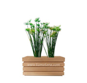 COMBO JARDINERA 70 CM CON PAPIROS - Tumatera.co