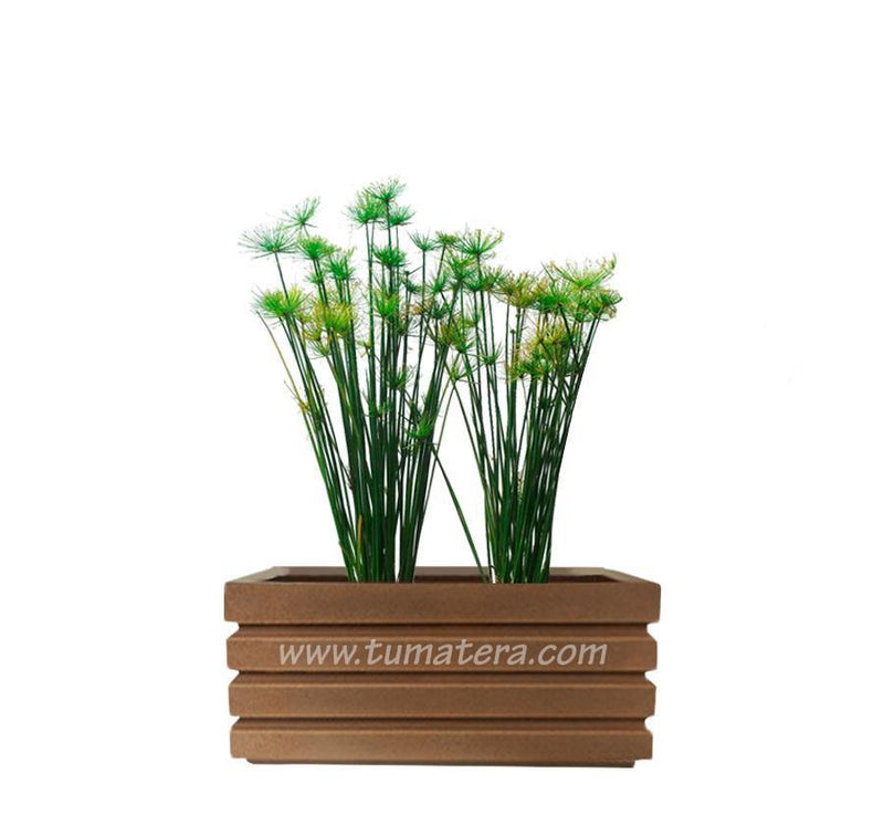 COMBO JARDINERA 70 CM CON PAPIROS - Tumatera.co