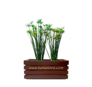 COMBO JARDINERA 70 CM CON PAPIROS - Tumatera.co