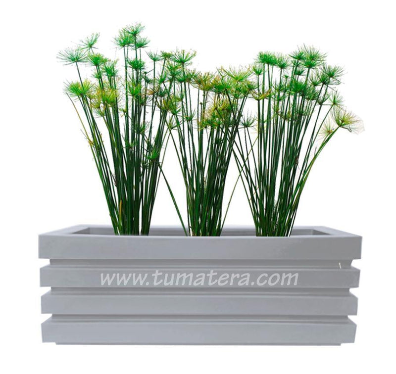 COMBO JARDINERA 100 X 45 CM CON PAPIROS - Tumatera.co