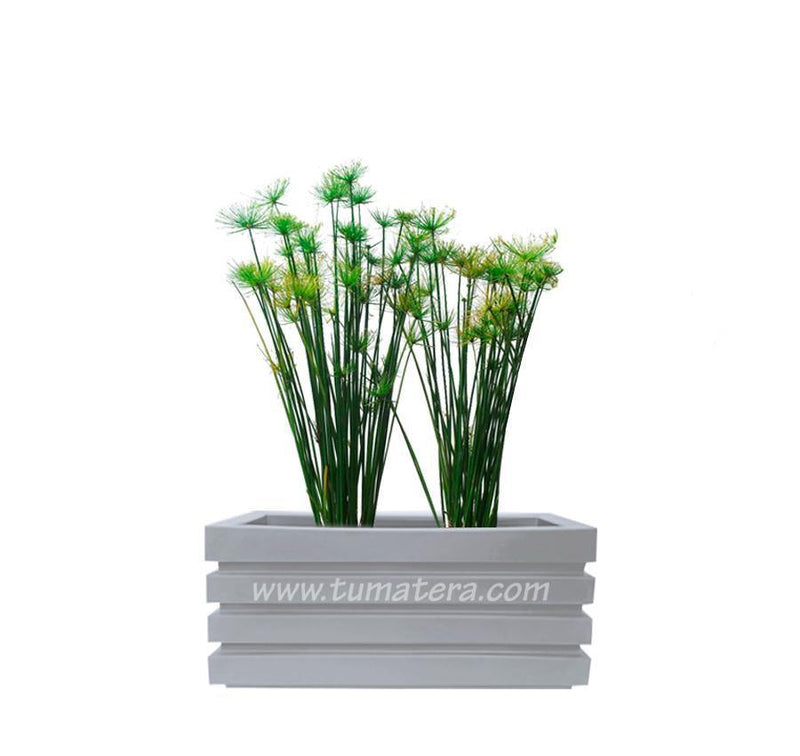 COMBO JARDINERA 70 CM CON PAPIROS - Tumatera.co