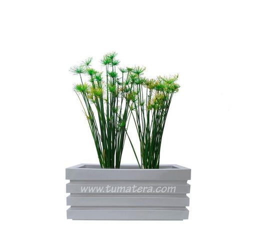 COMBO JARDINERA 70 CM CON PAPIROS - Tumatera.co