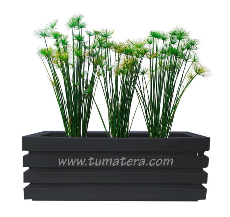 COMBO JARDINERA 100 X 45 CM CON PAPIROS - Tumatera.co