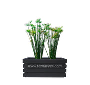 COMBO JARDINERA 70 CM CON PAPIROS - Tumatera.co