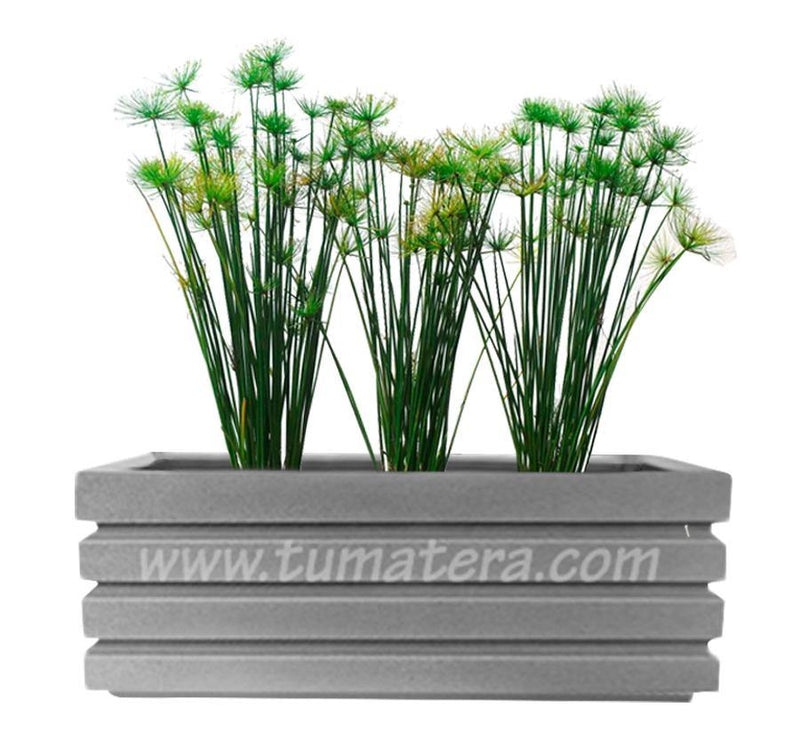 COMBO JARDINERA 100 X 45 CM CON PAPIROS - Tumatera.co