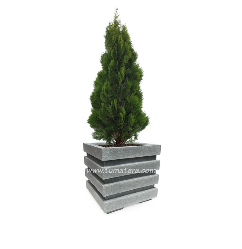 COMBO CUBO 48 CM CON PINO - Tumatera.co