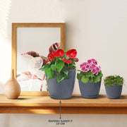 MATERA SANDY P 19 CM - Tumatera.co