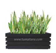 COMBO JARDINERA 100 X 45 CM CON SANSEVIERA - Tumatera.co