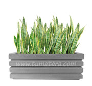 COMBO JARDINERA 100 X 45 CM CON SANSEVIERA - Tumatera.co