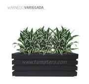 COMBO JARDINERA 100 X 45 CM CON WARNECKI - Tumatera.co