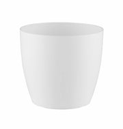 MATERA SAN REMO 20 CM - Tumatera.co