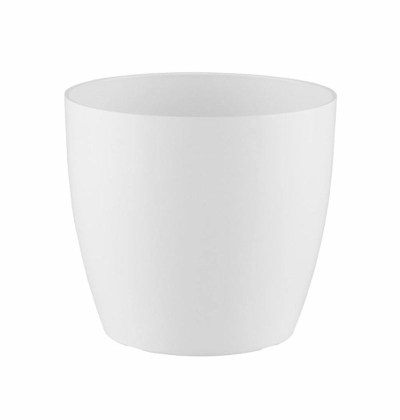 MATERA SAN REMO 20 CM - Tumatera.co