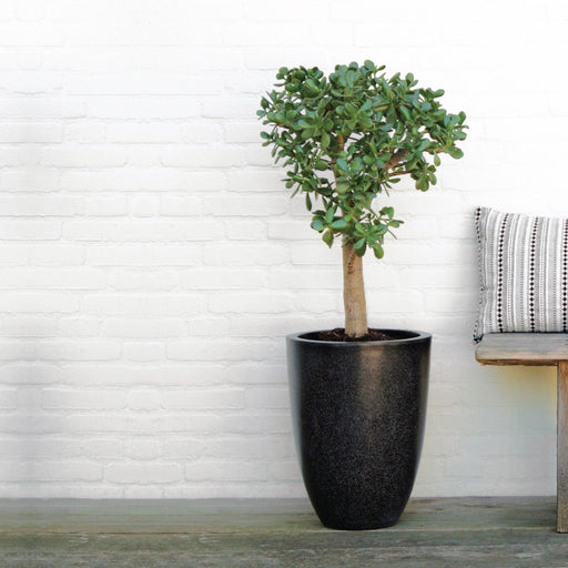 MATERA ELEGANT LOW 58 CM - Tumatera.co