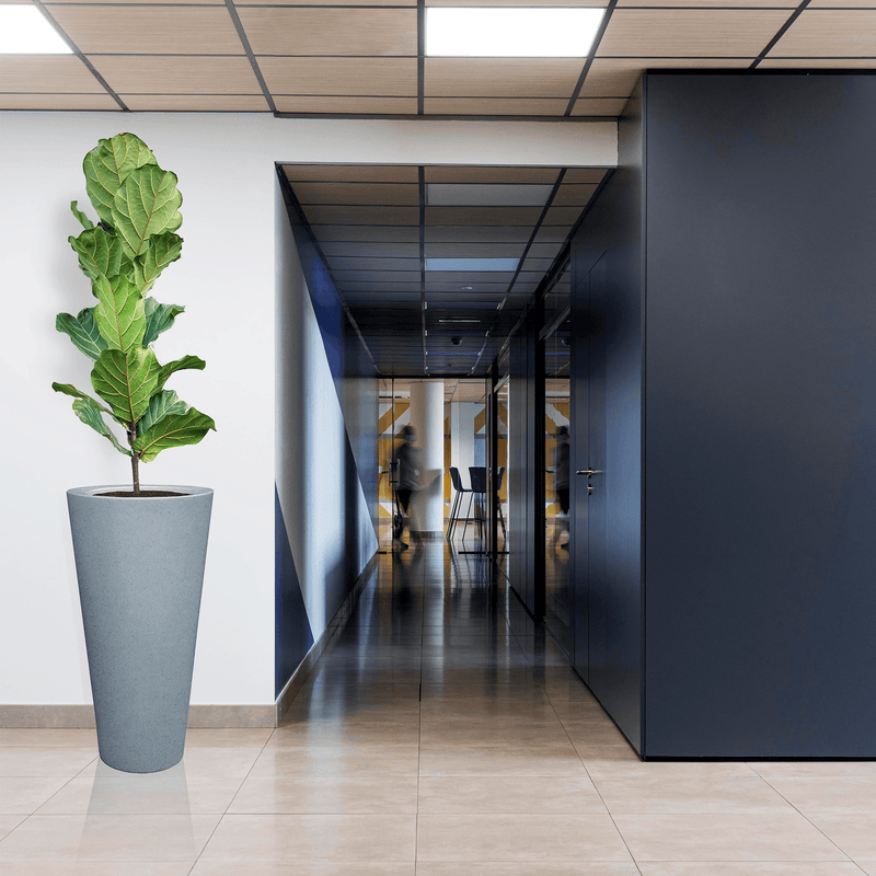 MATERA POLIETILENO CONE 60 X 118 CM - Tumatera.co