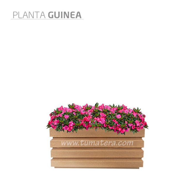 COMBO JARDINERA 70 CM CON FLORES - Tumatera.co