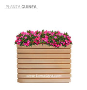 COMBO JARDINERA 100 X 60 CM CON FLORES - Tumatera.co