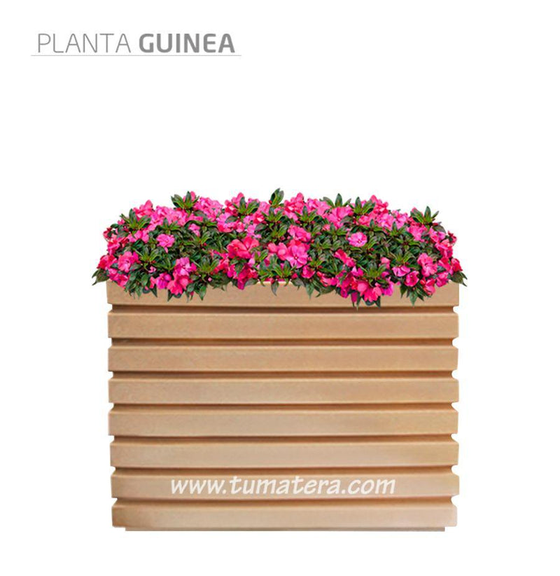 COMBO JARDINERA 100 X 60 CM CON FLORES - Tumatera.co
