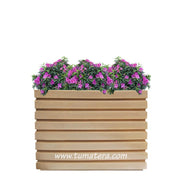 COMBO JARDINERA 100 X 60 CM CON AZALEAS - Tumatera.co