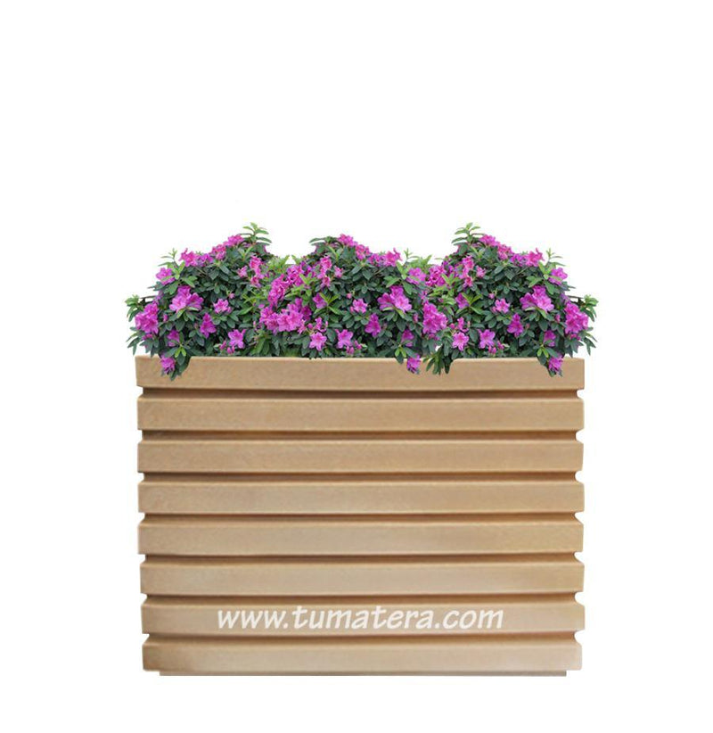 COMBO JARDINERA 100 X 60 CM CON AZALEAS - Tumatera.co