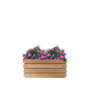 COMBO JARDINERA 70 CM CON AZALEAS - Tumatera.co