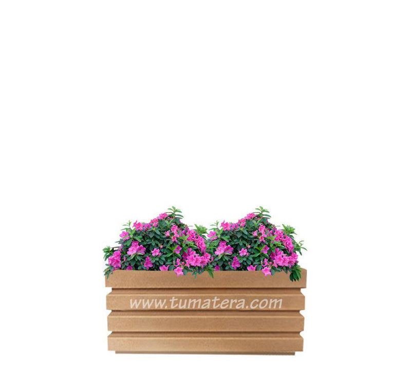 COMBO JARDINERA 70 CM CON AZALEAS - Tumatera.co