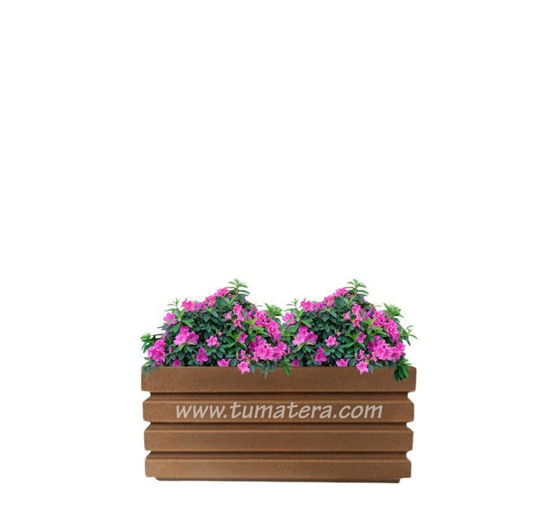 COMBO JARDINERA 70 CM CON AZALEAS - Tumatera.co